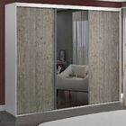 Guarda-roupa Casal 3 Portas Com 1 Espelho 100% Mdf 1971e1 Bra