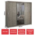 Guarda-roupa Casal 3 Portas Com 1 Espelho 100% Mdf 7320e1 Dem