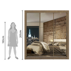 Guarda Roupa Casal 3 Portas de Correr de Espelho Madesa Lyon