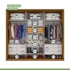 Guarda Roupa Casal 3 Portas De Correr Flex Color Com Espelhos