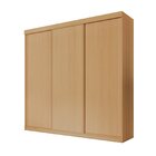 Guarda-roupa Casal 3 Portas De Correr Lisas Samambaia Cabecas