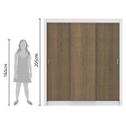 Guarda Roupa Casal 3 Portas de Correr Marrom Madesa Lyon