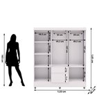 Guarda-roupa Casal 6 Portas 2 Gavetas Com Espelho Ideval Bran