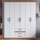 Guarda-roupa Casal 6 Portas 3 Gavetas Wood/branco Rp3634 - De