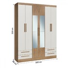 Guarda-roupa Casal 6 Portas 4 Gavetas Com Espelho Wood/branco