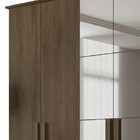 Guarda-roupa Casal 6 Portas C/espelho Amsterdã Freijó – Rv Mó