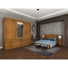 Guarda-roupa Casal  3 Portas De Correr 9 Gavetas Chicago Tcil