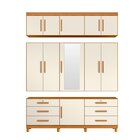 Guarda-roupa Casal Com Espelho 11 Portas 6 Gavetas Triton Plu