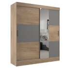 Guarda Roupa Casal Com Espelho 2 Portas 2 Gavetas Pantanal Ca