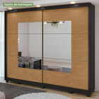 Guarda Roupa Casal Com Espelho 2 Portas 6 Gavetas Toronto Fle