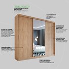 Guarda Roupa Casal Com Espelho 3 Portas 2 Gavetas 100% Mdf Lo