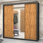 Guarda Roupa Casal Com Espelho 3 Portas De Correr Luna Plus C