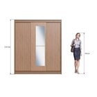 Guarda-roupa Casal Com Espelho 3 Portas De Correr Rubi Deciba