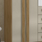 Guarda-roupa Casal Com Espelho 5 Portas 3 Gavetas Las Vegas I