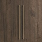 Guarda Roupa Casal Com Espelho E Pés Master Vip 8.4 Ébano