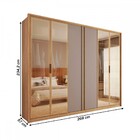 Guarda-roupa Casal Cristal 6 Portas Reflecta 6 Gavetas Buriti