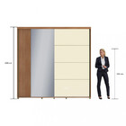 Guarda Roupa Casal Espelho 2 Portas Frisada 4 Gavetas Flex 24