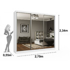 Guarda Roupa Casal Espelho 3 Portas 6 Gavetas Montenegro Tcil