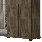 Guarda-roupa Casal Estrela 6 Portas Com Espelho Amadeirado -
