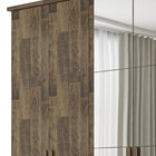 Guarda-roupa Casal Estrela 6 Portas Com Espelho Amadeirado -