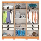 Guarda-roupa Casal Fiorini 6 Portas 4 Gavetas Cinamomo - Pnr