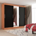 Guarda-roupa Casal Katherine 3 Portas 2 Gavetas Com Espelho N