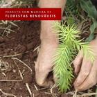 Guarda-roupa Casal Madesa Istambul 3 Portas De Correr Com Esp