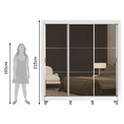 Guarda Roupa Casal Madesa Lyon 3 Portas De Correr De Espelho