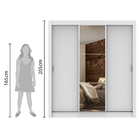 Guarda Roupa Casal Madesa Lyon Plus 3 Portas de Correr com Es