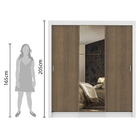 Guarda Roupa Casal Madesa Mônaco 3 Portas de Correr com Espel