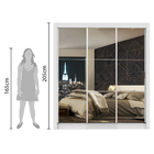 Guarda Roupa Casal Madesa Mônaco 3 Portas de Correr de Espelho