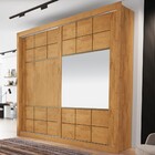 Guarda-roupa Casal Merida 2 Portas 4 Gavetas Flex Com Espelho