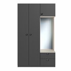 Guarda Roupa Casal Modulado 3 Portas Com Espelho 1 Cabideiro
