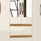 Guarda Roupa Casal New Cuba Com Espelho 6 Portas Freijó Off W