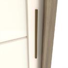 Guarda Roupa Casal Palace 2 Portas Deslizantes Com Espelho -