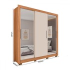 Guarda-roupa Casal Santiago 3 Portas 2 Gavetas Com Espelho Fr