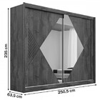 Guarda-roupa Casal Santorini 2 Portas 4 Gavetas Espelhado 100