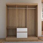 Guarda-roupa Casal Sena Slim 6 Portas 2 Gavetas Amêndola Touc