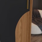 Guarda-roupa Casal Talles 2 Portas 3 Gavetas Com Espelho Natu