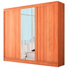 Guarda-roupa Casal Urubici 3 Portas 2 Gavetas Com Espelho Nat