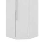 Guarda-roupa Closet Modulado Virtual 1 Pt Branco Fosco E Amad