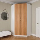 Guarda Roupa De Canto Closet Modular Com 6 Prateleiras Hera C