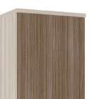 Guarda Roupa Doce Vida Com 68,2 Cm De Largura Araucária Com C