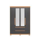 Guarda Roupa Espelho Fabi Freijo Titanium