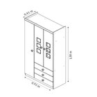 Guarda Roupa Infantil 3 Portas 4 Gavetas Capricho Tcil