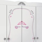 Guarda-roupa Infantil Princesas Encantada Clean 4 Portas - Pu