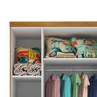 Guarda-roupa Infantil Sonic Com Pés 3 Pt 3 Gv Cinamomo E Neve