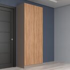 Guarda Roupa Modulado 2 Portas 2 Gavetas San Diego  Damasco/n