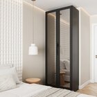 Guarda Roupa Modulado 2 Portas Reflecta Com Cabideiro E 2 Gav