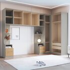 Guarda Roupa Modulado 5 Peças Elegance  Níquel/angelin